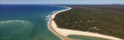 Amity - North Stradbroke Island - QLD 2014 (PBH4 00 17695)